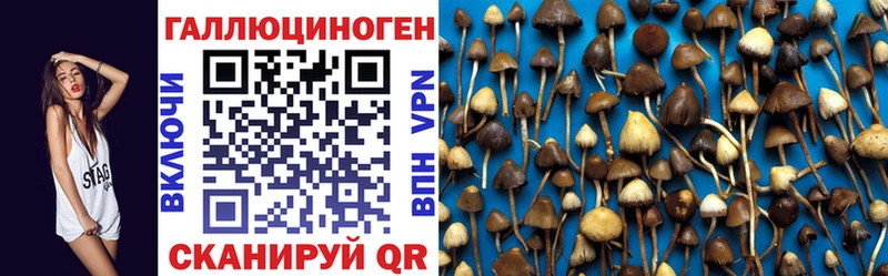 omg зеркало  где можно купить   Яблоновский  Псилоцибиновые грибы прущие грибы 